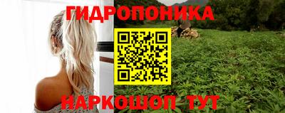 альфа пвп Гусев